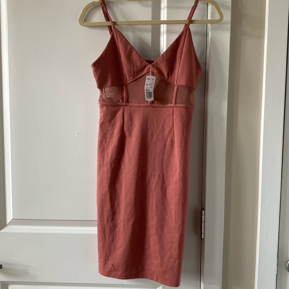 Forever 21 Mini Dress with Mesh